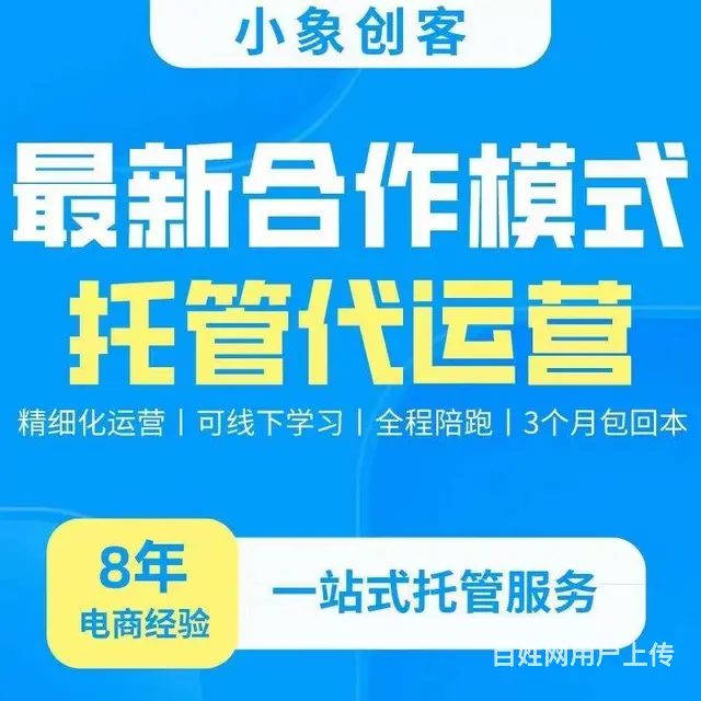 拼多多无货源网店专业托管，  合伙人代运营模式 - 图片