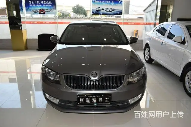 [苏州]斯柯达明锐 1.6L 自动 逸俊版 201 - 图片 2