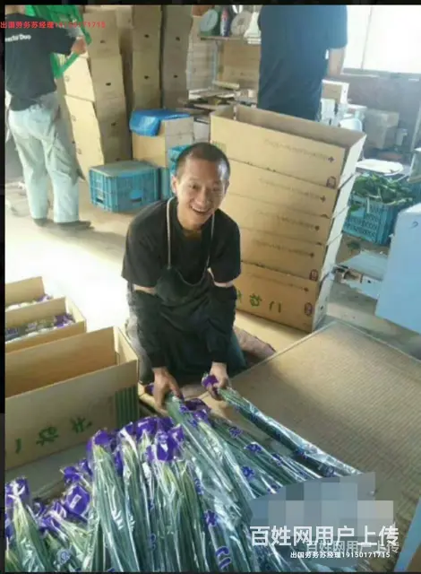 合法出国劳务正规派遣常州武进 - 图片 4