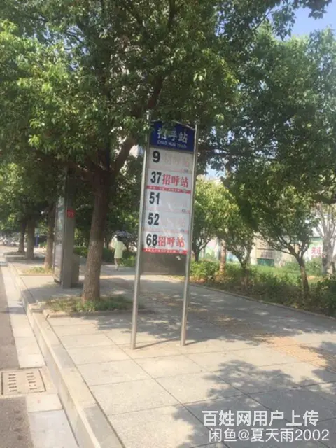 长虹园艺小区电梯房出租 - 图片 5