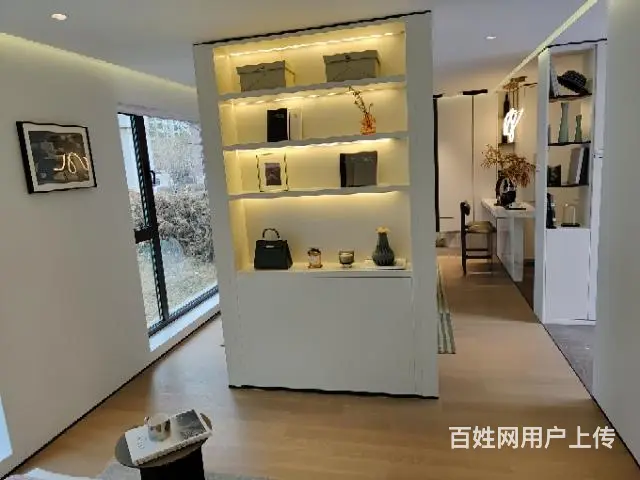 海湖新区公寓出售，39～59 - 图片 5