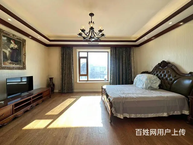 广场中心位 盛和天下别墅 大花园300  边户 带双车位 - 图片 7