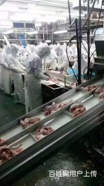 鹤壁正规出国劳务- 以色列急招工厂- 钢筋工司机 - 图片 5