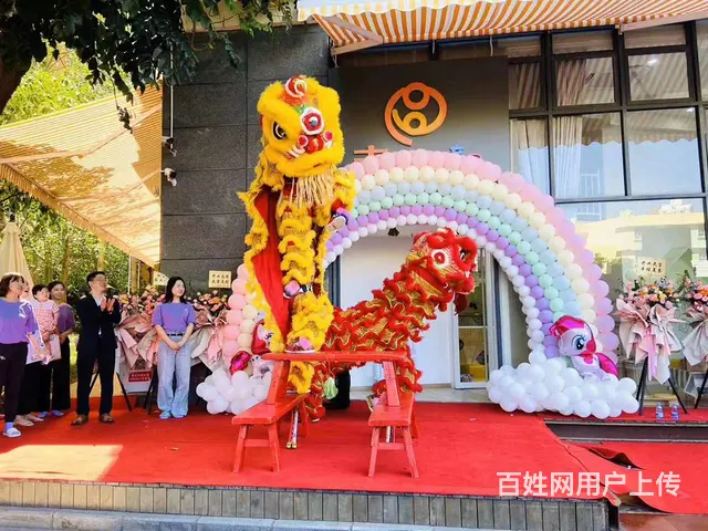 沈阳全市服务 气球派对|氦气球|地爆球|气球花 - 图片 12