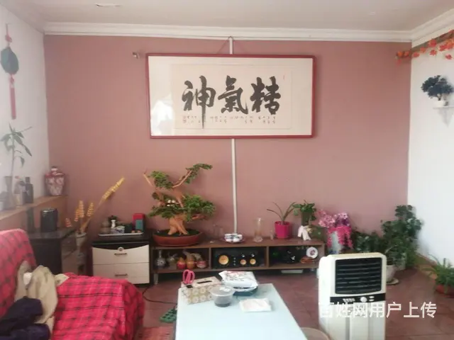 博物馆南和平小区 - 图片 1