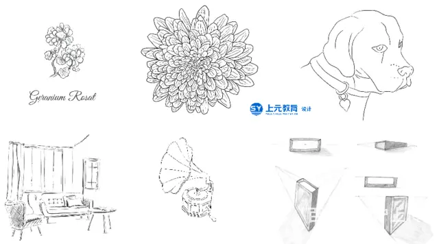 杭州素描课程培训|素描的整体表现要求 - 图片
