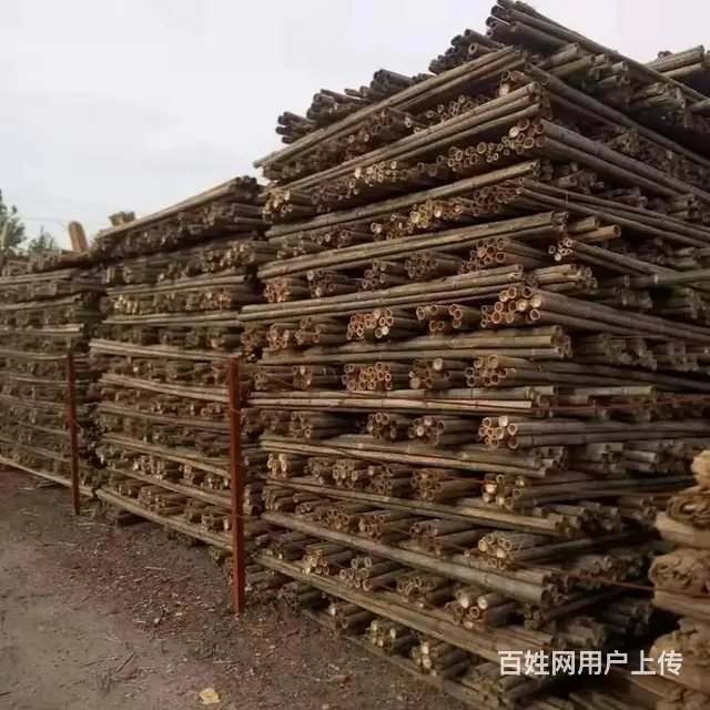 秦皇岛口碑载道的高压电线防护松木桩批发价直销 - 图片