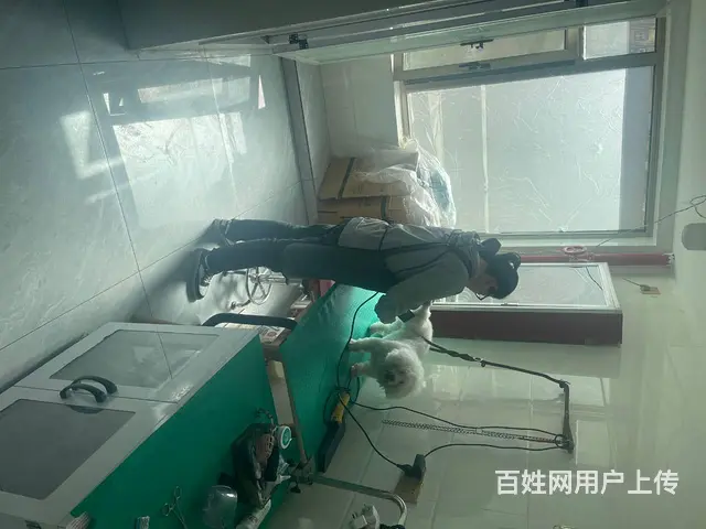 BP个人 城北萨尔斯堡三期有家宠物店转让 - 图片 1