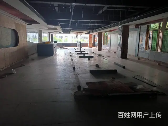 （51旺铺推荐）秀英街道秀华路380平旺铺招租 - 图片 7