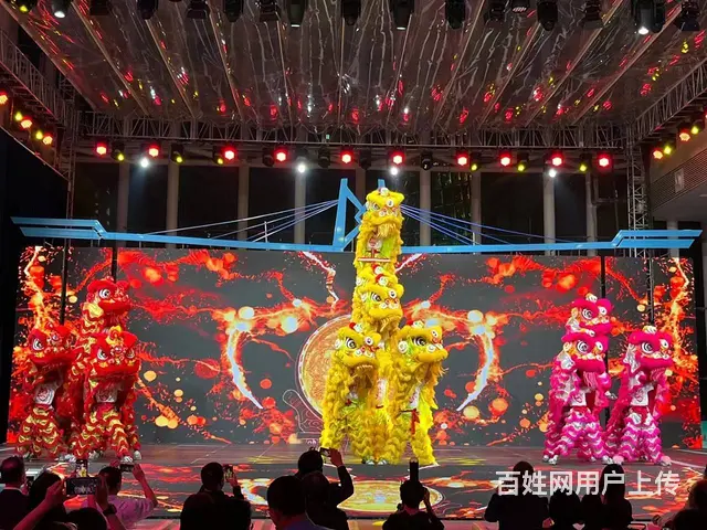 长沙专业承接舞狮演出开业庆典舞龙表演 - 图片 5