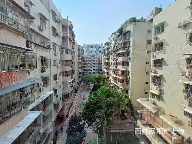 大同小旁，思北陪读大两房，精装修拎包入住，全明通透，轮渡六中 - 图片 11