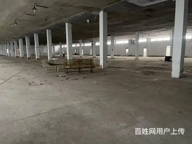 淄川区罗村镇厂房出租 - 图片 3