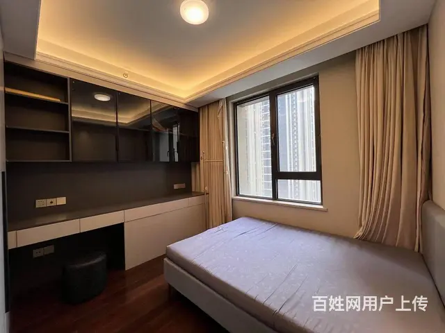 海珀滨江，带梯控，隐私性较好，绿地缤纷城，万象城边 - 图片 12