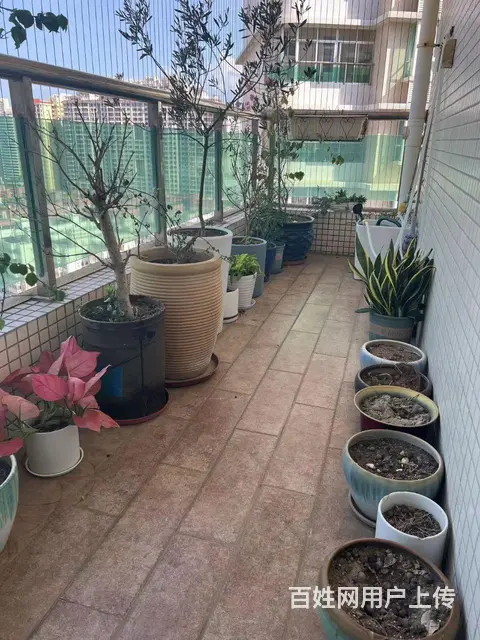 100%真实房源！开发区（明景花园）精装3房，单价仅8500 - 图片 7