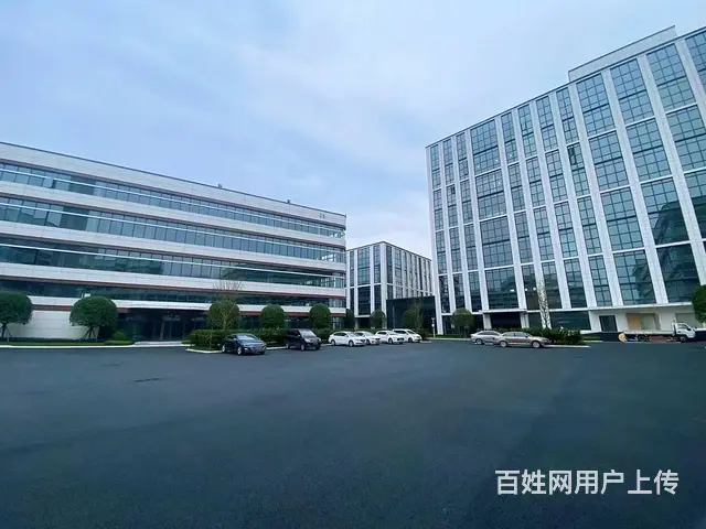 高新西区厂房出租、生产、研发、办公、分层独栋 - 图片 5
