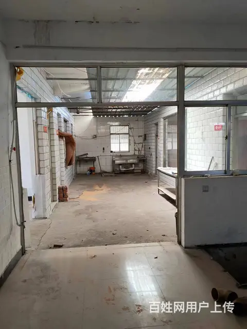 （易店）淄川山川路北石谷沿街商铺低价出租（可整租可分租） - 图片 9