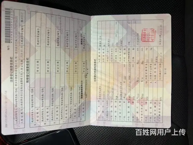 霸王龙 - 图片 7