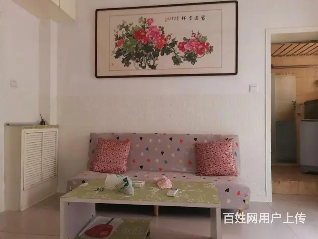 毓璜顶医院 道恕街 华茂附近 精装1室 1楼 家电齐 - 图片 2