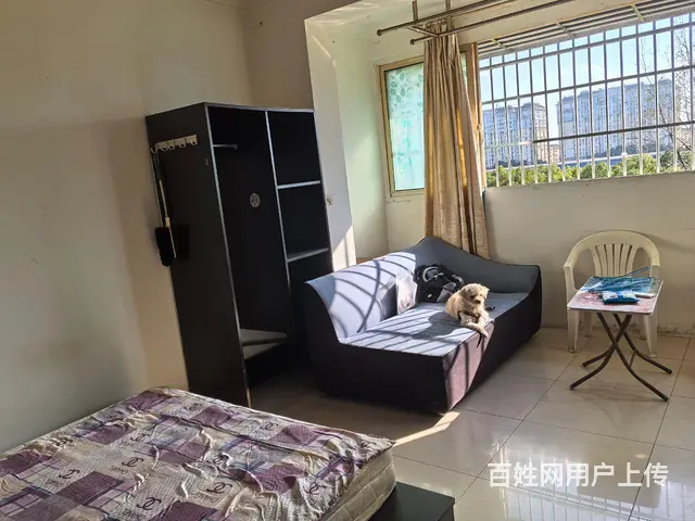 近昆山出口加工区日本工业园仁宝立臻正新轮胎带阳台朝南主卧出租 - 图片 3