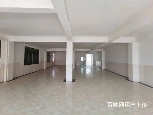 （51旺铺推荐）龙华区龙桥镇950平整栋出租 - 图片 8