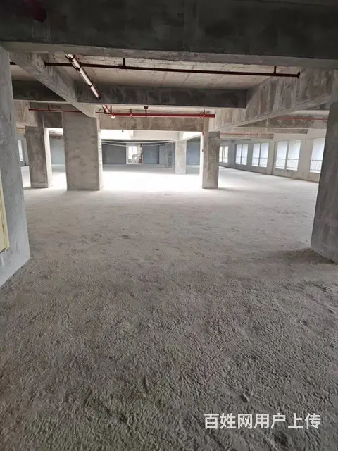 地铁口附近开发商整栋出租【无行业限制也可出售编号1076 - 图片 9