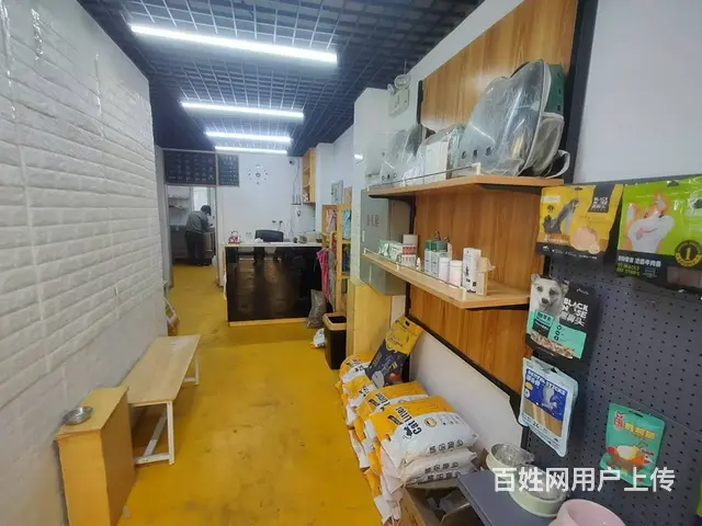 铁西区其仕和颂西北门宠物店出兑，可空兑 - 图片 4