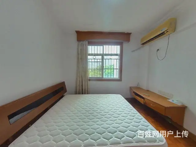 九洲花园 小区中庭 南北通透 精装三房 户型方正 诚心出售 - 图片 6