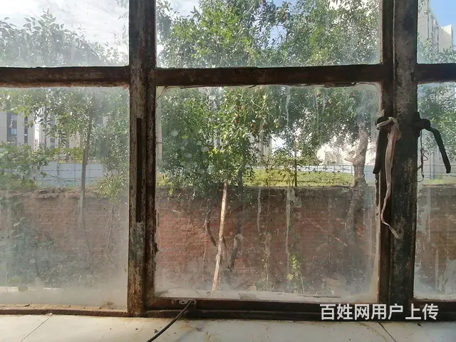 八里铺板块一楼带小院70平三室一厅清水房 - 图片 5