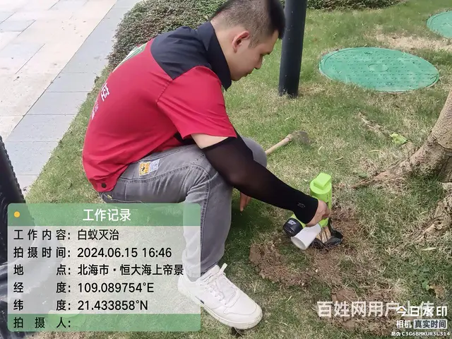 白蚁防治、虫害消杀 - 图片 2