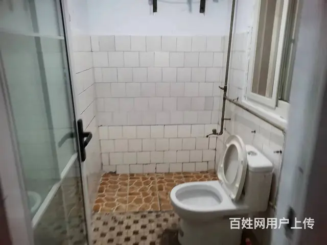 28亩地 普通住宅 简单装修 - 图片 3
