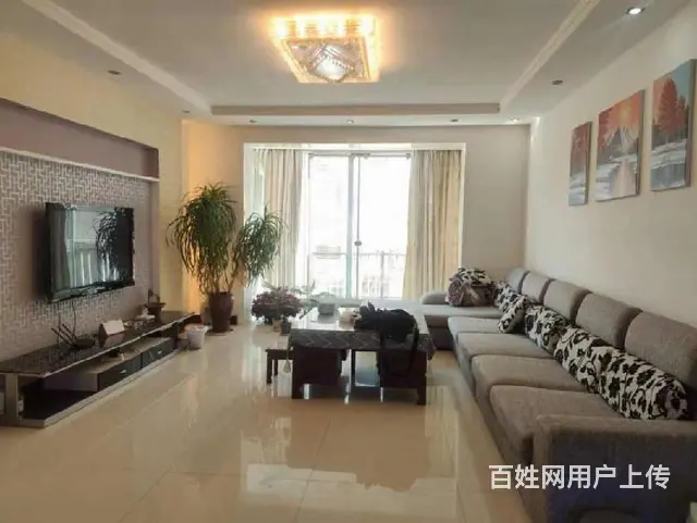 湖星苑  黄金楼层 超值 便宜 高品质 - 图片 10