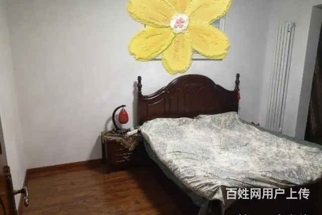 苹果新居 新房出卖 - 图片 8