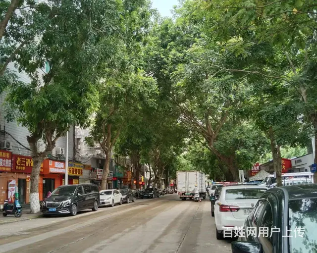 （51旺铺推荐）海甸岛海达路150平带外摆餐饮店转让 - 图片 7