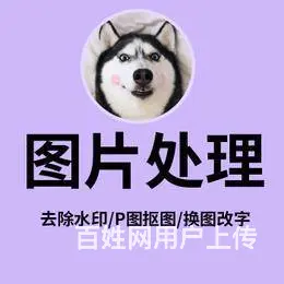 河东零基础学拼多多哪里有教学，多久学会 - 图片 5