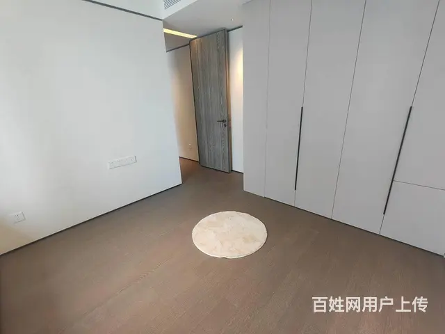 武昌万象城，武昌滨江，绿地606，徐家棚地铁口，宸 - 图片 4