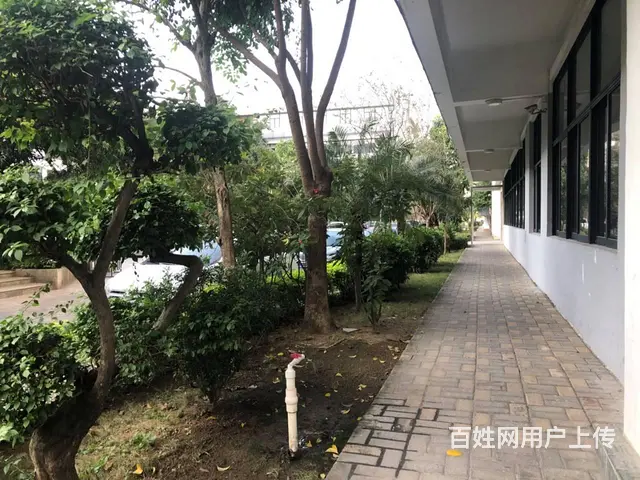 南屏192平写字楼带装修无需转让费 搬家具可办公 - 图片 4