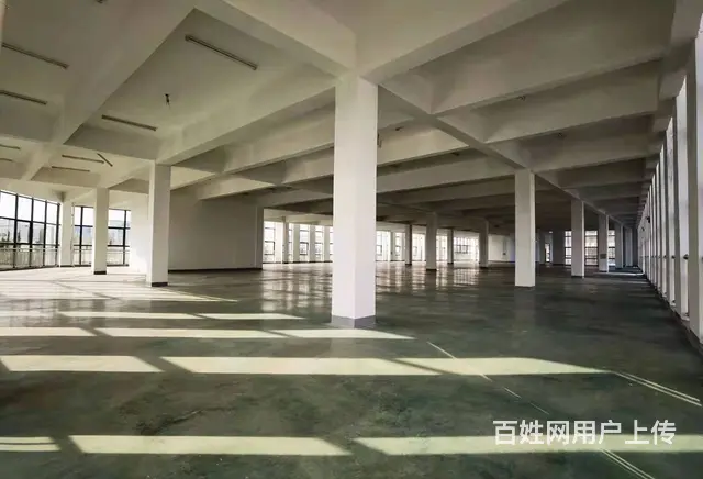 淀山湖独院独栋厂房 形象好 整租分租均可 - 图片 4