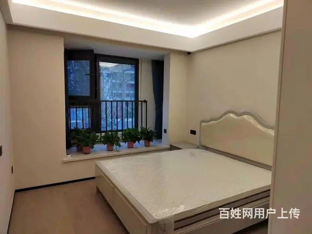 押一付一 汾湖路地铁站豪华三房，陪读优选，创业园旁，品质家具 - 图片 8
