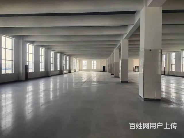 【创美】高区和兴路新建76000平厂房出租，可分层租 - 图片 11