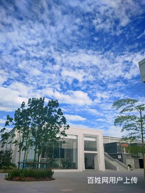 孟津产业园区，白菜价，物流仓储办公，高挑高，柱距8米，层高7 - 图片 5