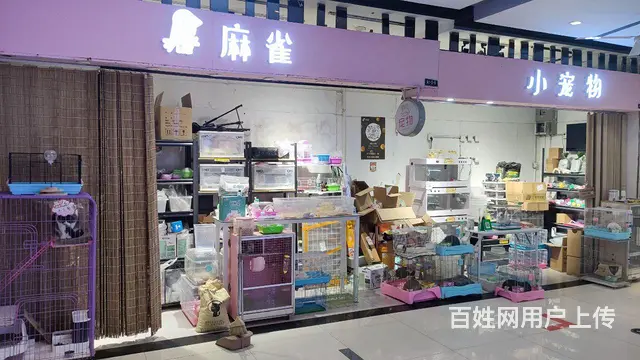 中街地下宠物店转让 - 图片 1