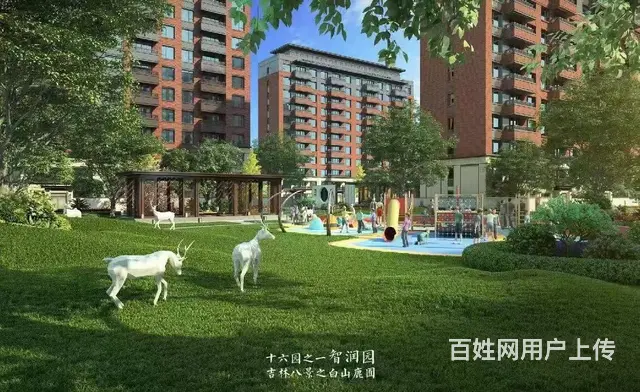 泊逸天玺甲第 有我在就优惠 优惠 优惠！！！ - 图片 4