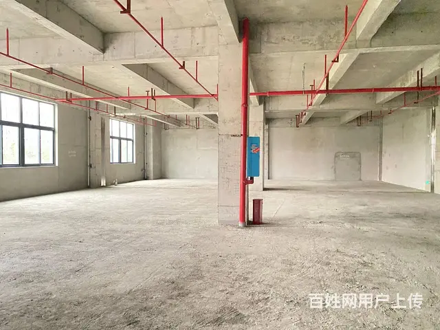 （房东直租）中青路佳海园区460一1500平厂房，可分租 - 图片 9