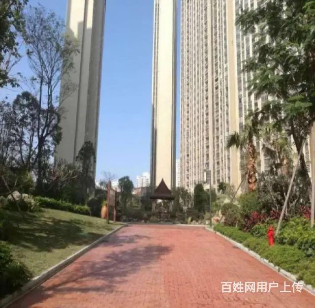 紧急出租精装修117.00平3室 - 图片 12