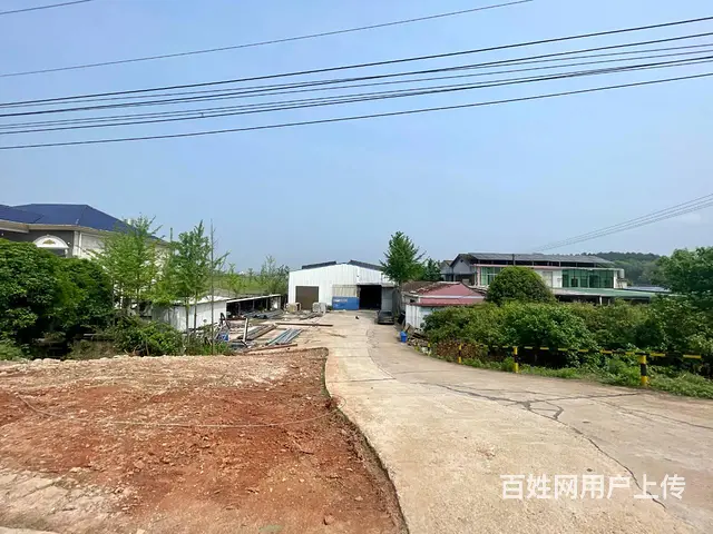 （老板本人）长沙县果园镇独门独院厂房仓库低价出租  6283 - 图片 9
