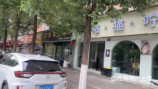 （同城搜铺网）滨河路138平宠物店转让 - 图片 4
