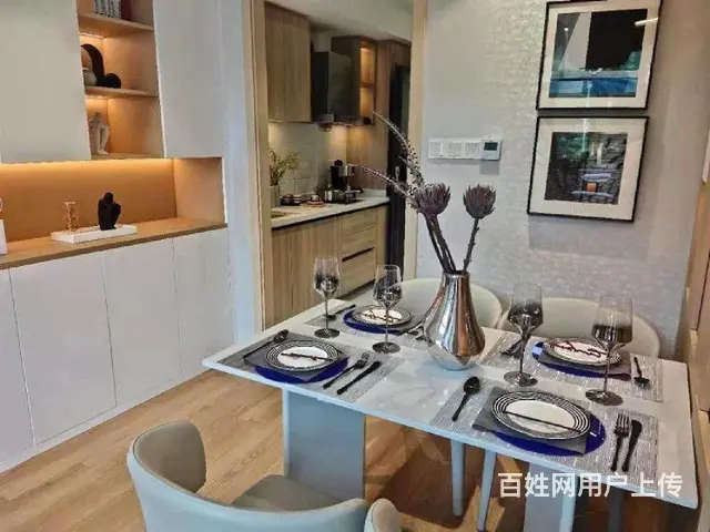 首付二十多买新北环球港两室地铁口外国语陪读房平层复试可选 - 图片 4