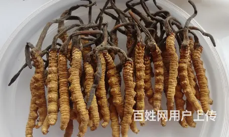 南漳回收烟酒多点分布✉南漳急速上门回收茅台酒 - 图片 3
