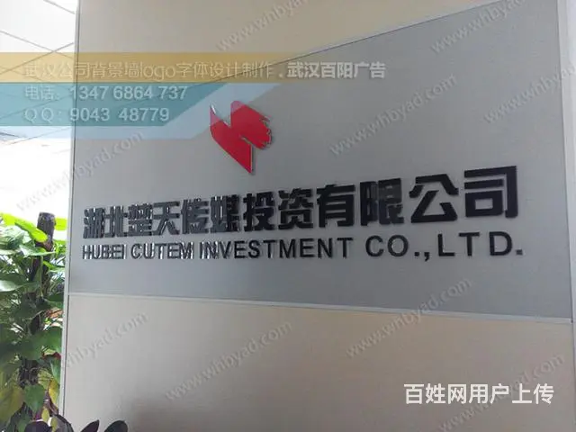 光谷企业形象墙设计，鲁巷公司形象墙效果图，免费设计 - 图片 3