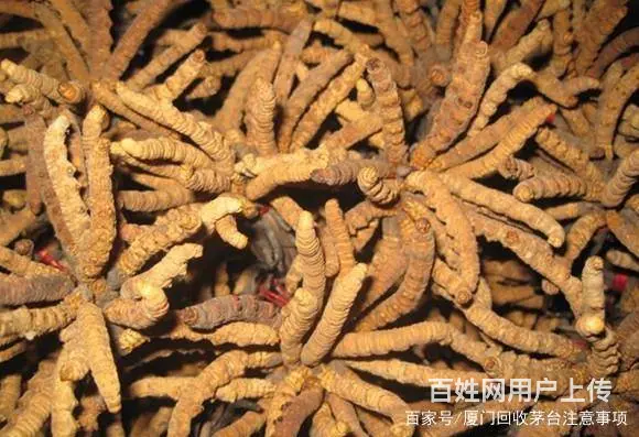 任县有高价回收烟酒的公司 - 图片 5